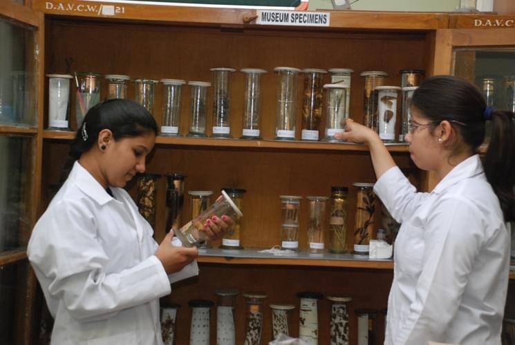 Mehr Chand Mahajan Dayanand Anglo Vedic College for Women Chandigarh Campus photo 7